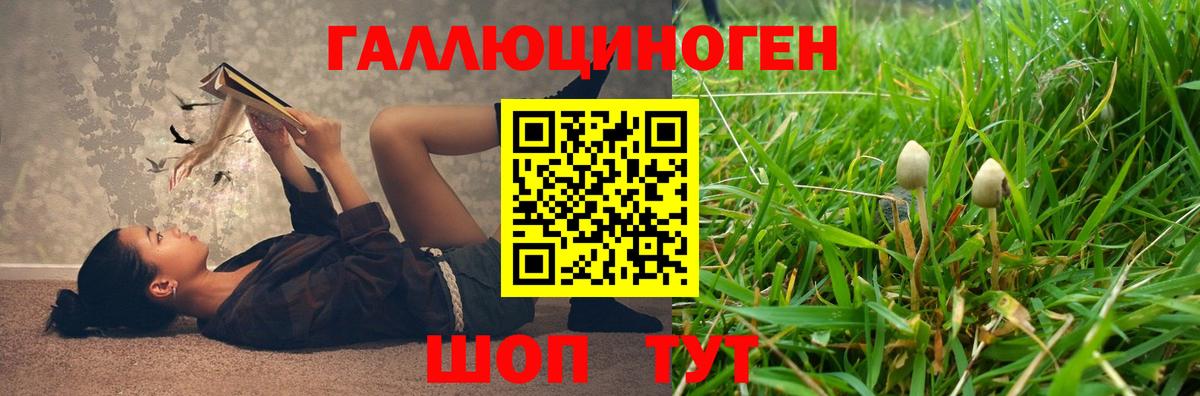 Псилоцибиновые грибы MAGIC MUSHROOMS Черняховск