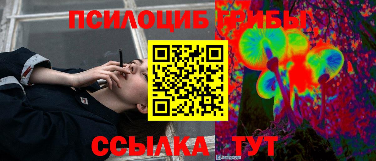 Черняховск  Псилоцибиновые грибы мухоморы  Галлюциногенные грибы Magic Shrooms  Вход с VPN 